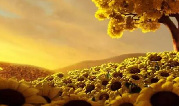 充满正能量阳光的八字短句