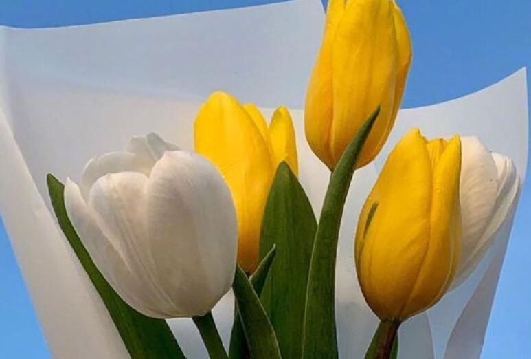 最新微信早安问候语大全