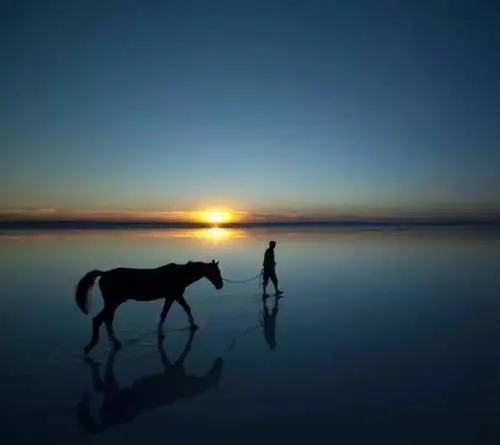 世间万物的经典语句文案