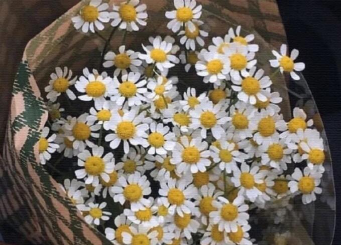 四月植树的句子文案