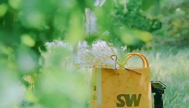 关于夏天的句子文案