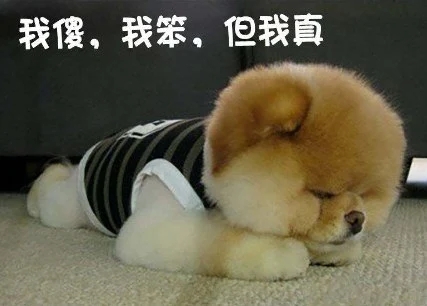 形容自己笨的幽默说说文案