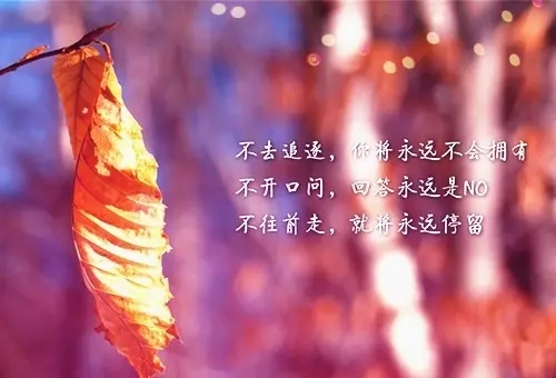 激励努力上进的名言