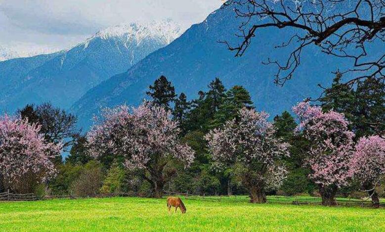工作奋斗正能量励志句子文案