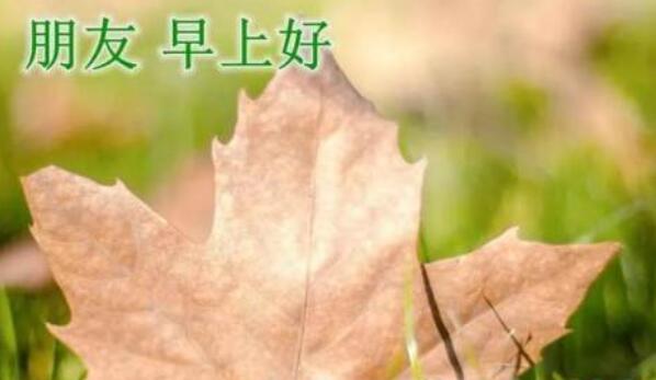 照片记录美好的话语