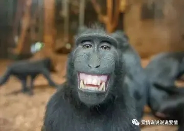 清晨幽默问候笑话