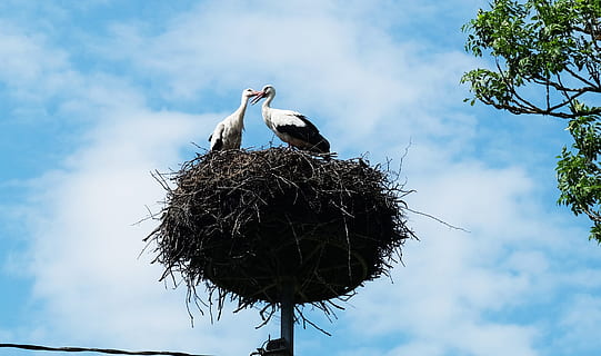 为了你我流泪了的句子文案