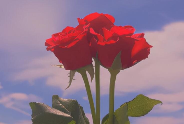 做饭表达爱意的句子文案