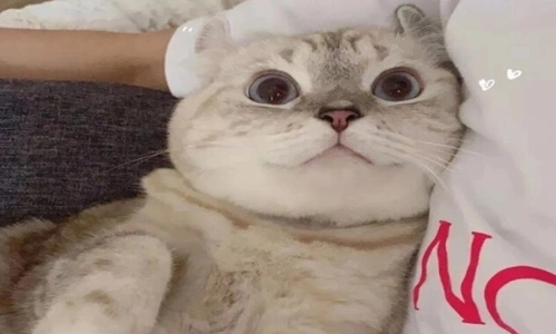 无聊的等待自拍说说文案