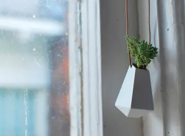 夏天绿意盎然唯美句子文案