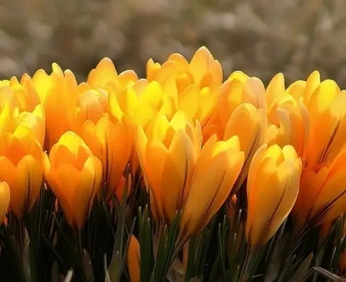 4月你好发朋友圈句子文案