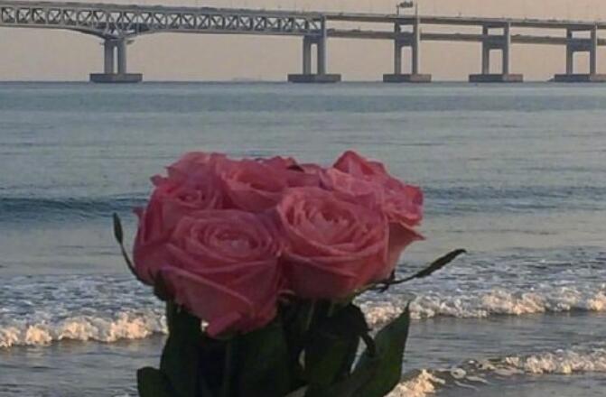 打动人心的早安心语