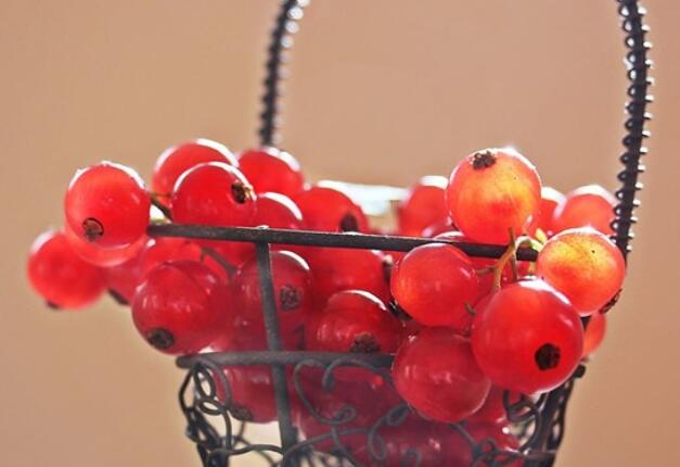 感悟人生一段话