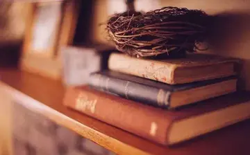 名著名句文案摘抄