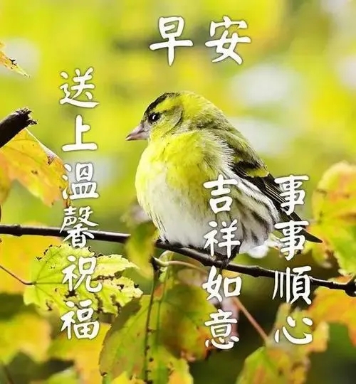 朋友问候语温馨一句话