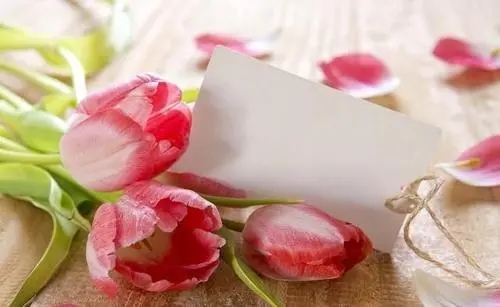 贵人祝福语简短独特