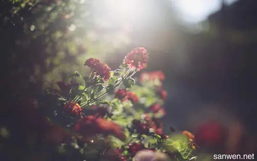 给最好的朋友说最暖心的话