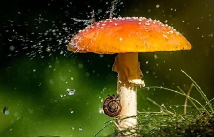 春天下雨关心顾客句子文案