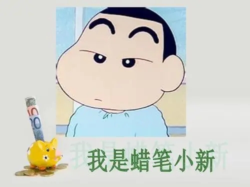 描写外貌的优美段落80字以上