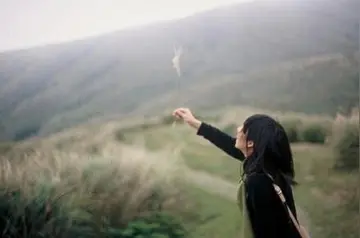 关于丑的句子文案