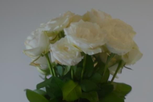 失恋后坚强励志的语录文案