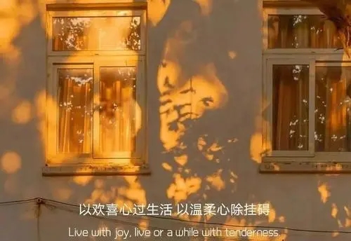 温柔到爆的神仙文案配图