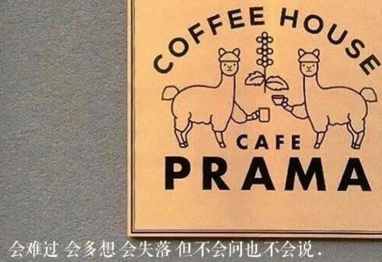 关于年轻真好的句子文案