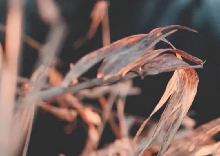 默默等一个人的句子文案