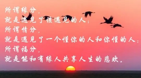 表达有缘的句子文案