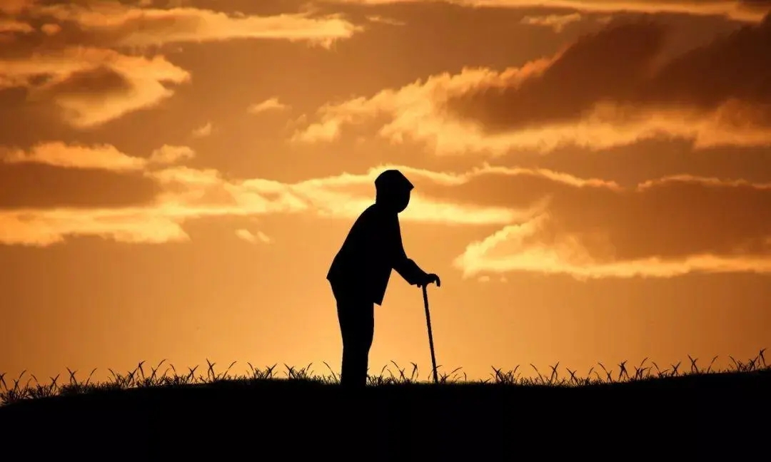 感恩母爱最朴实的句子文案