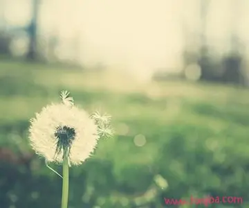 心情快乐唯美简短句子文案