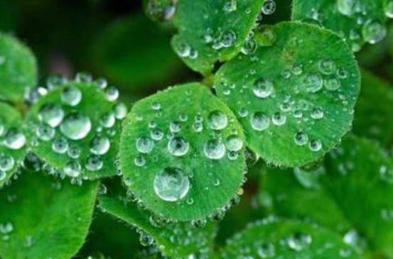 发心情不好的句子文案说说