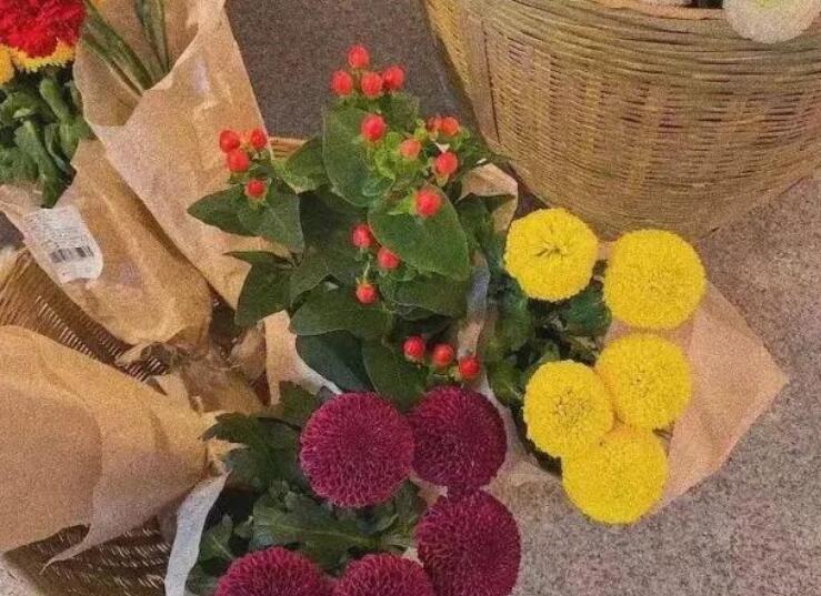 可爱温柔的文案