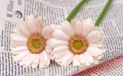 自定义状态好听文案