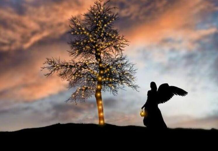 感慨人生难两全的说说文案