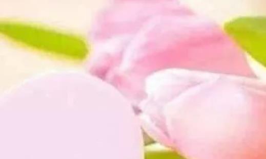 每天一句早安问候语