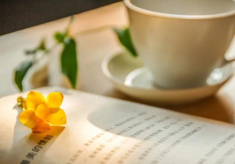 关于读书的文章