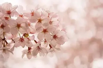 形容突如其来的句子文案