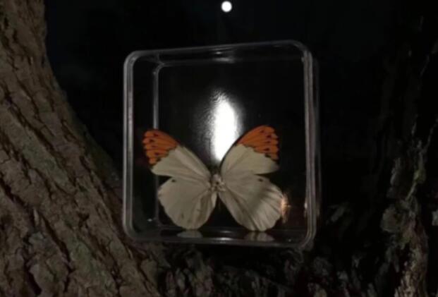 网易云扎心语录文案短句