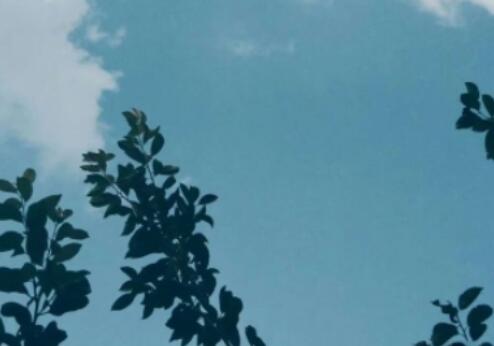 感慨倒霉的句子文案