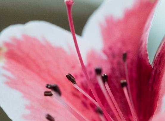 激励自己的句子文案