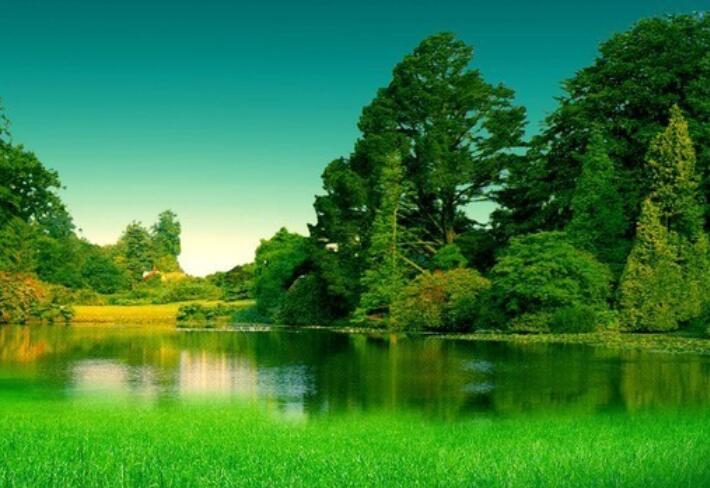 赞美绿色风景优美的句子文案