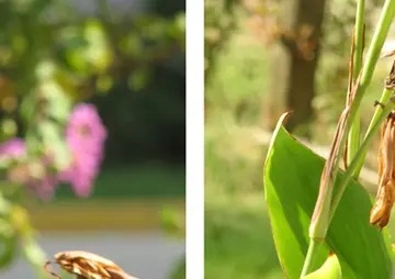 天气好心情好八字短句