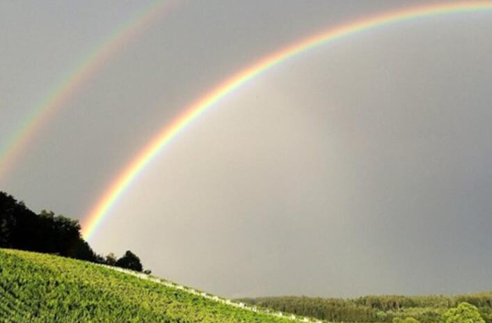 下载早上好问候语带图片文字