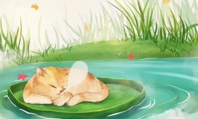 关于坚持的搞笑句子文案