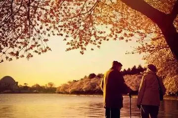 当我老了感悟人生句子文案