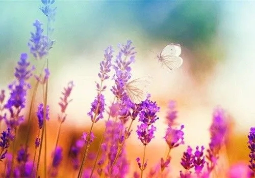 爱自己深奥句子文案说说心情