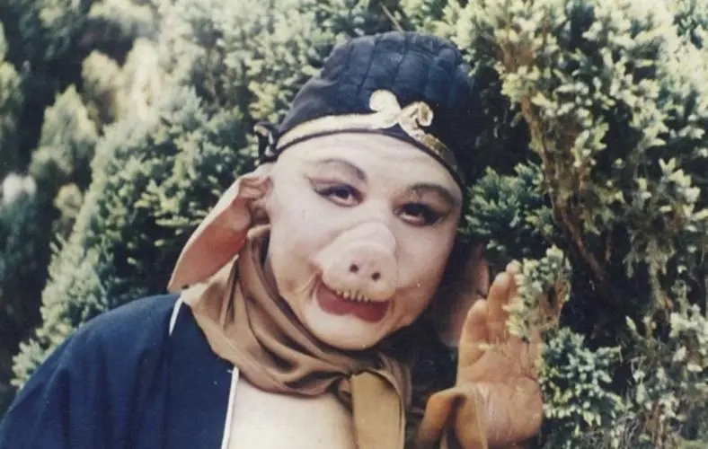 猪八戒外貌描写