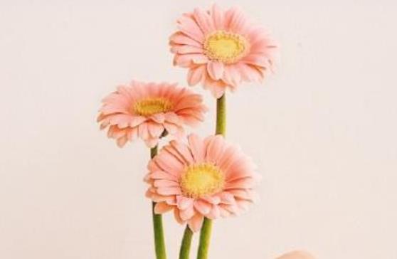 2021时间的朋友经典语录文案