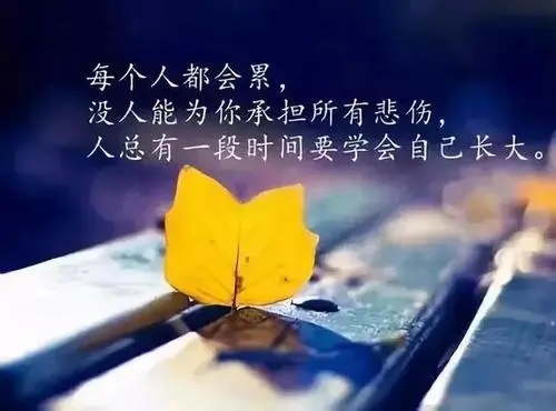 感悟人生唯美句子文案短句